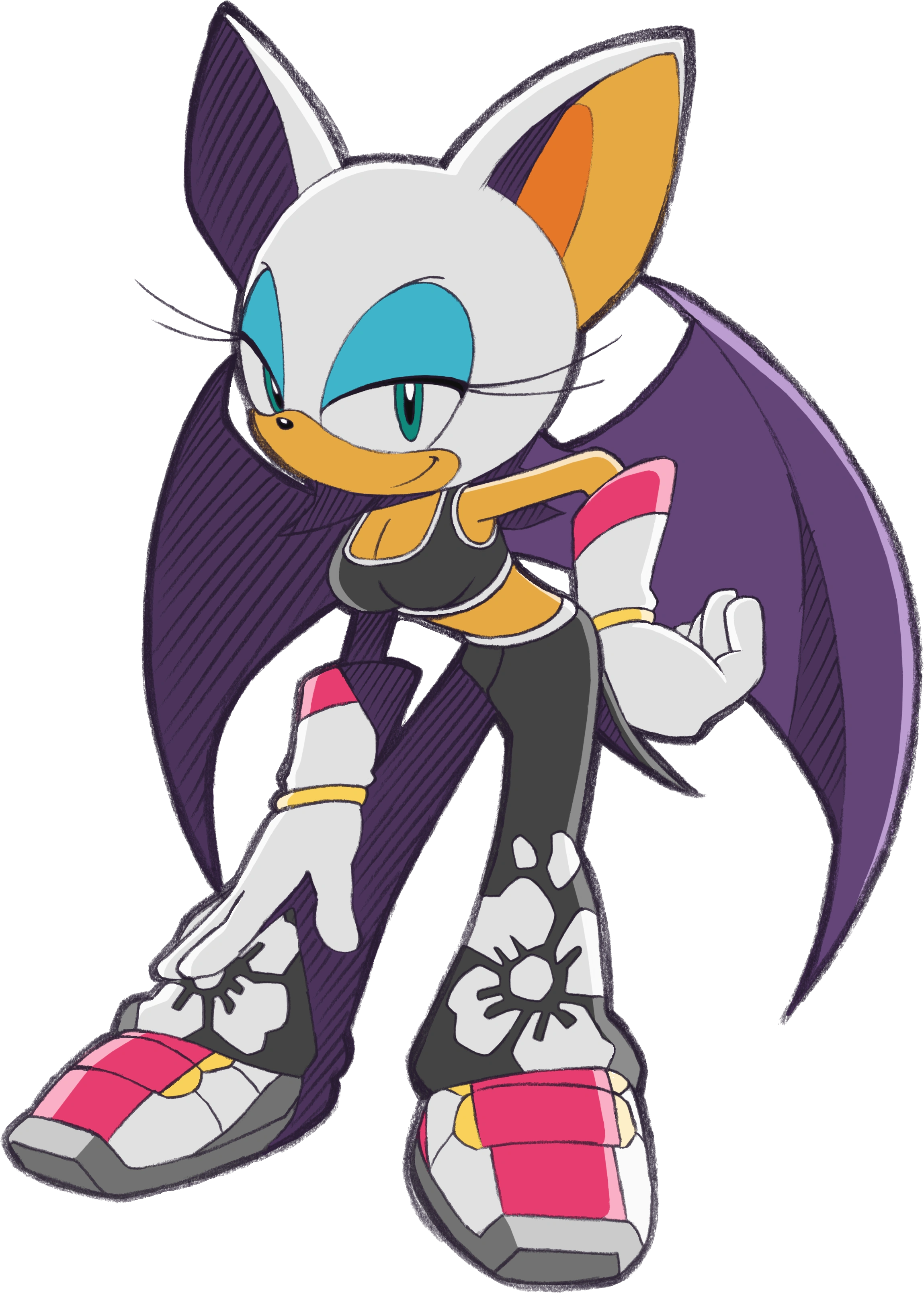 Sonic the Hedgehog Rouge
