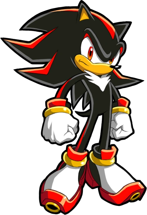 Sonic Shadow the Hedgehog